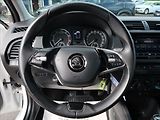 Škoda Fabia 1,0 TSi,70kW,1maČR,Serv.kn,DPH - náhled 15
