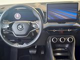 Škoda Kodiaq (2024) SELEC 4X4 TD 142/2.0 A7A - náhled 17