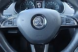 Škoda Octavia (2015) 1.6 TDI, Tempomat - náhled 18