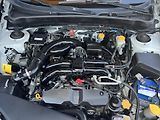 Subaru Forester 2.0i LPG 4x4 KLIMA KAMERA ALU - náhled 35