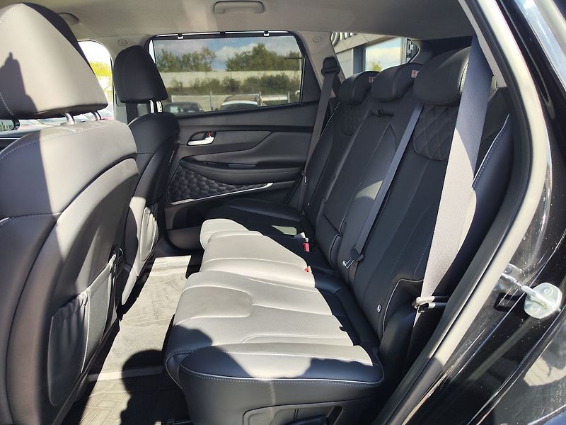 Hyundai Santa Fe 2.2 CRDI/142kW Style PRM DCT - fotka 15 z 39