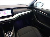 Škoda Octavia (2021) Ambition Plus 2.0 TDI, Automat - náhled 8