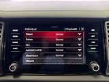 Škoda Kodiaq 2.0 TDI DSG 4X4 SPORTLINE, ACC - náhled 21