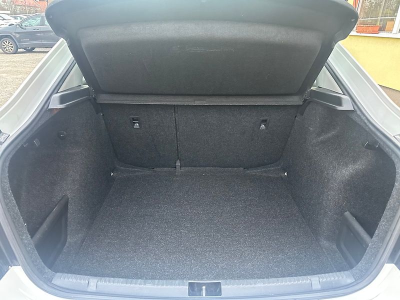 Škoda Rapid 1.4 TSI DSG/1MAJ/CZ/DPH/Výhřev - fotka 14 z 37