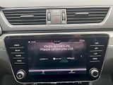 Škoda Superb (2019) 2.0 TDI 140kW Scout Combi 4x4 - náhled 19