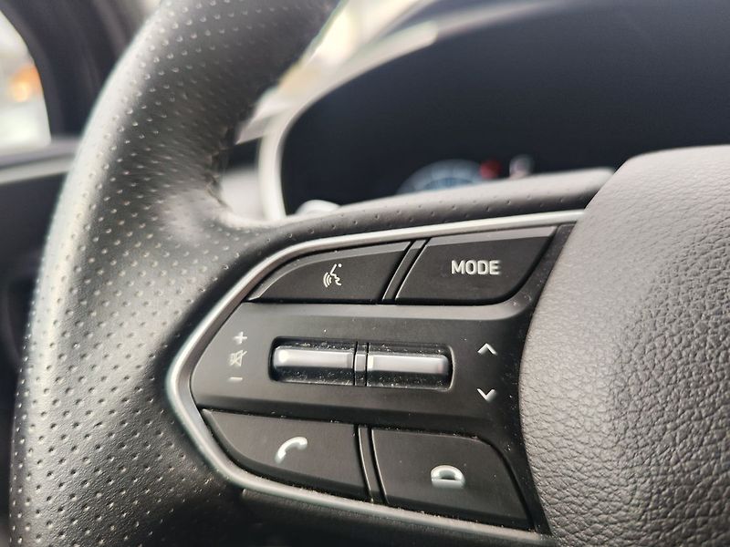 Hyundai Santa Fe 2.2 CRDi/142kW Premium STL DCT - fotka 29 z 37
