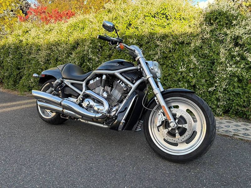 Harley-Davidson VRSCAW V-Rod (2007) - fotka 1 z 14