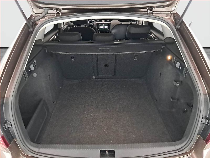 Škoda Octavia (2018) Scout 2.0 TDI, 4X4, Automat - fotka 14 z 16