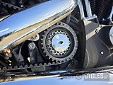Harley-Davidson (2012) XL 1200 CB Sportster Custom Li - náhled 6