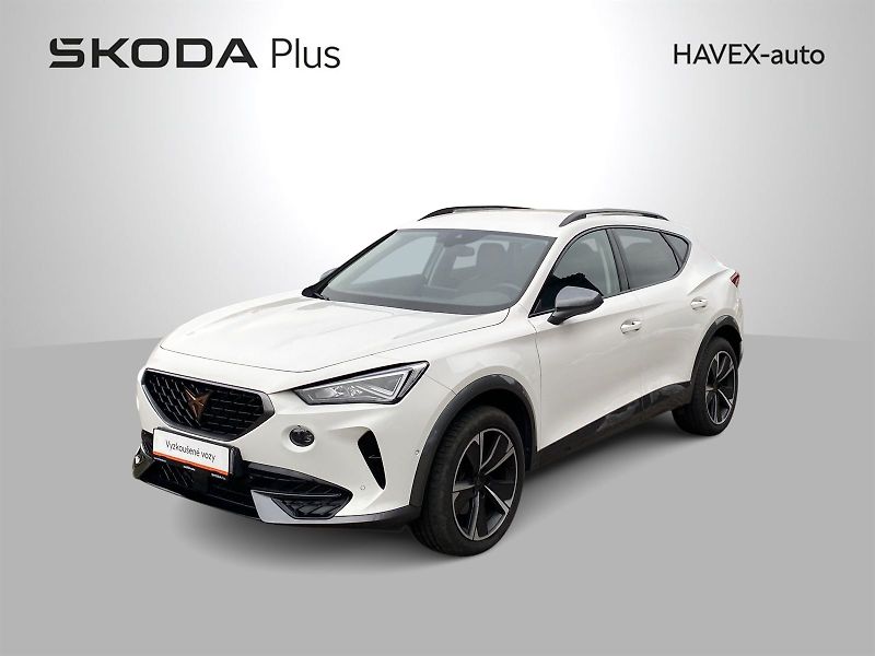 Cupra Formentor (2024) 2.0 TSI DSG 4Drive - fotka 1 z 46