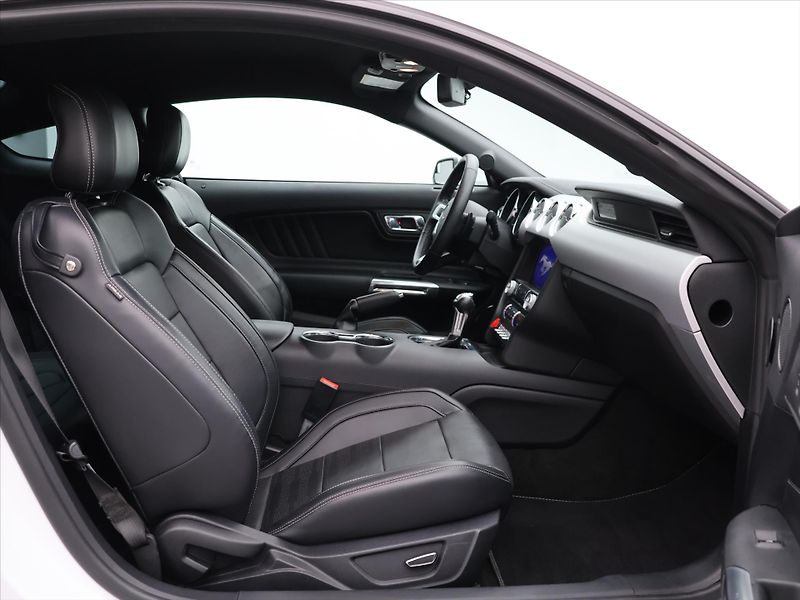 Ford Mustang 5,0 5.0 TI-VCT 324kW V8 GT CZ - fotka 11 z 36