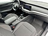 Škoda Octavia (2020) 2.0 TDI 85kW Ambition - náhled 7