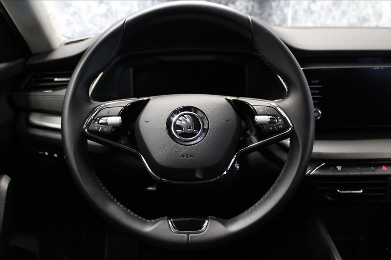 Škoda Octavia 2,0 TDI Ambition 1.majitel CZ - fotka 18 z 36