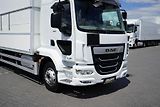 DAF LF 260 / EURO 6 / ACC / IZOTERMA  - náhled 36