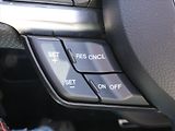 Ford Mustang 5,0 V8 310kW Aut. Remus DPH - náhled 19