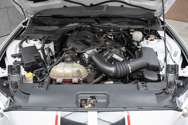 Ford Mustang RS 3.7 V6 227kW *ROUSH*KAMERA* - fotka 32 z 42
