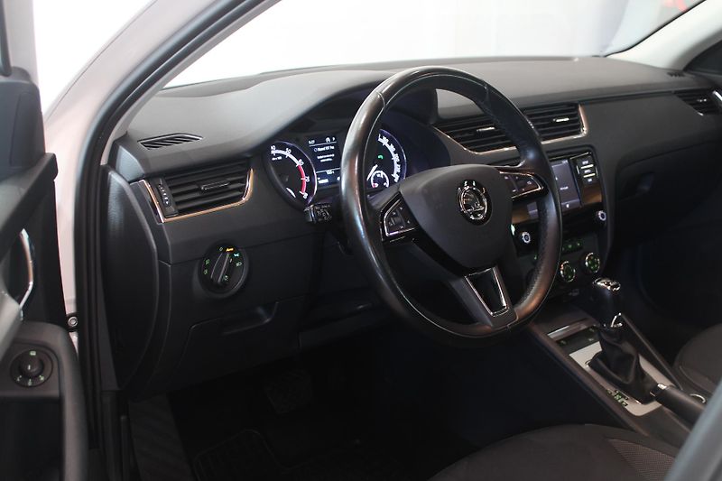 Škoda Octavia (2019) 2.0TSI DSG 4x4 140kW  - fotka 14 z 29