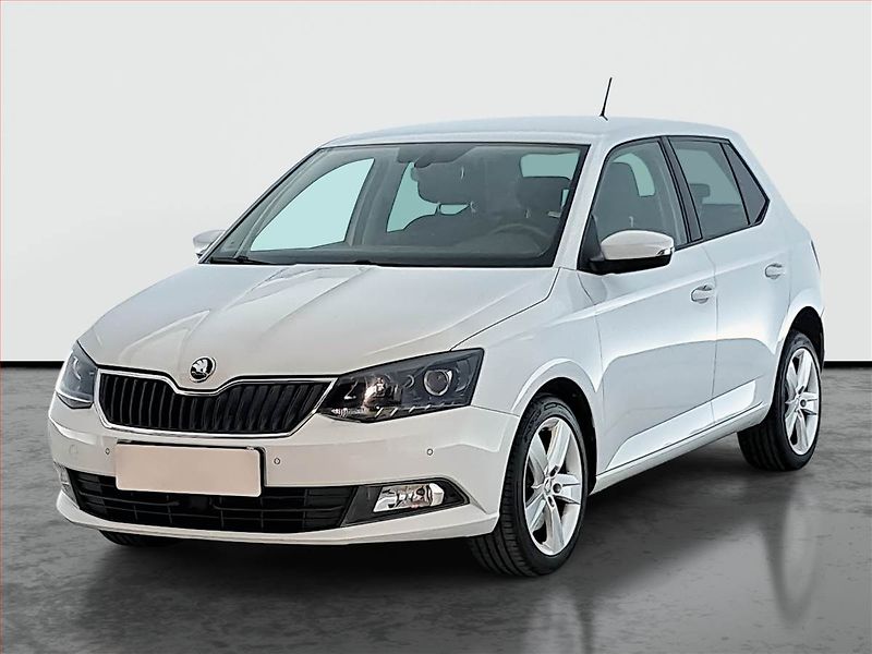 Škoda Fabia (2016) 1.2 TSI, Tempomat - fotka 2 z 18