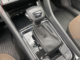 Škoda Kodiaq (2021) 1.5 TSi, ČR, Ambition, DSG - náhled 17