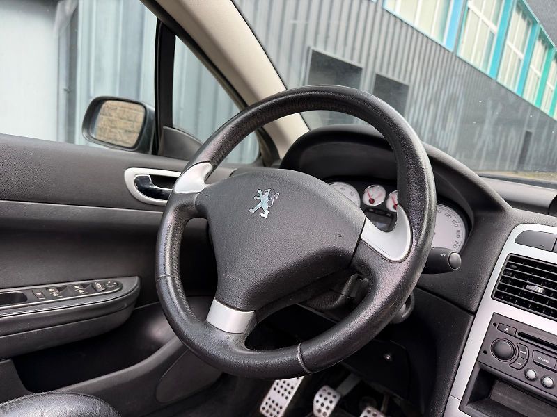 Peugeot 307 1,6i 16V  - fotka 19 z 24