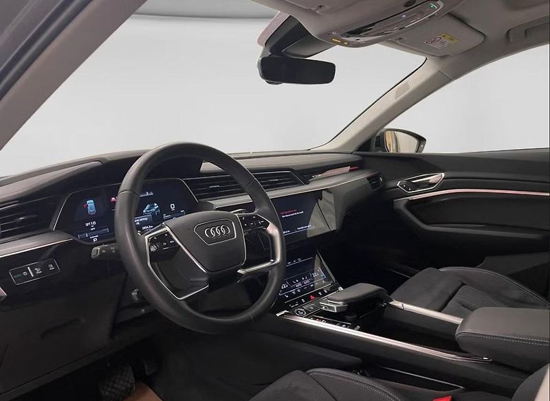 Audi Q8 e-tron 55 Q 360k Matrix Panorama - fotka 4 z 15
