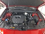 Mazda CX-5 (2026) 2,5 G 141ps 6AT AWD Homura PAN - náhled 13