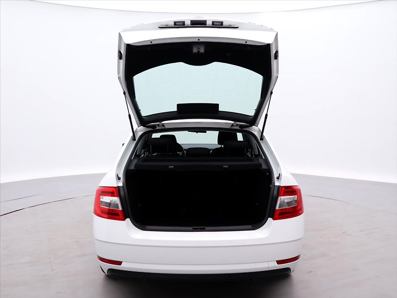 Škoda Octavia 1,4 TSI 110kW CZ Ambition 1Maj - fotka 9 z 38