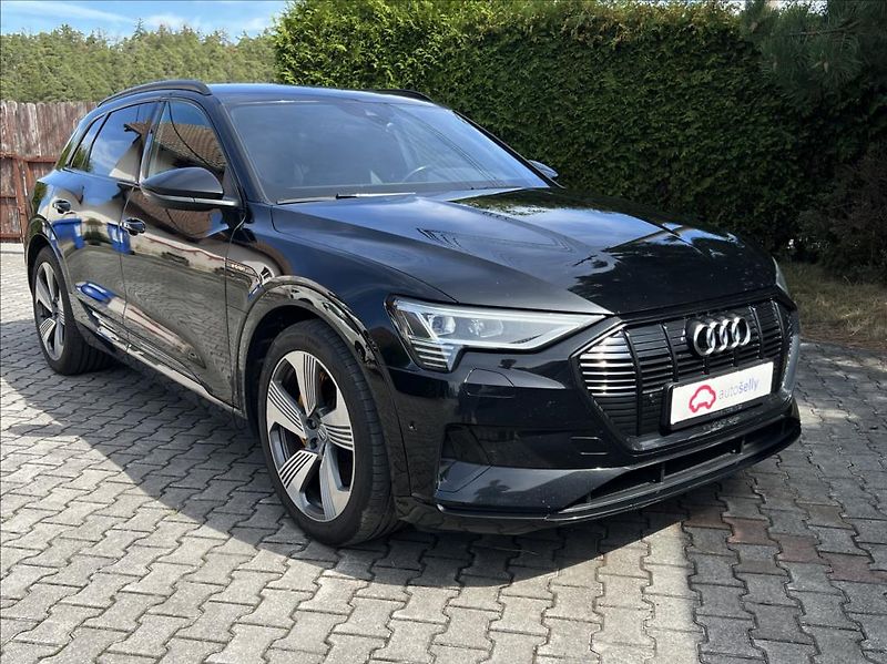 Audi e-tron 50 Quattro Proline Limited - fotka 7 z 38