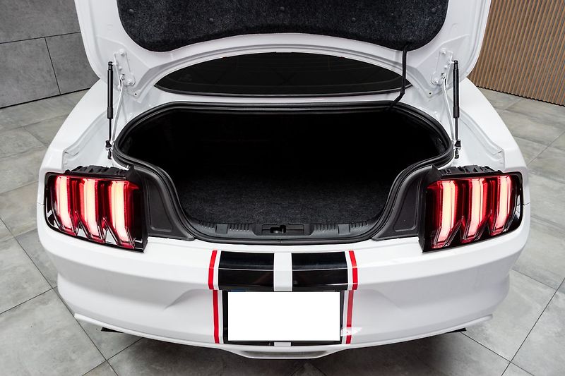 Ford Mustang RS 3.7 V6 227kW *ROUSH*KAMERA* - fotka 39 z 42
