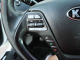 Kia Ceed (2017) 1.6CRDi, ČR, AC, tempo, park - náhled 12
