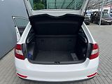 Škoda Rapid (2015) 1,6TDi 77kW AMBITION - náhled 23