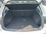 Volkswagen Tiguan 2,0 TDI 110 kW Business Premiu - náhled 10