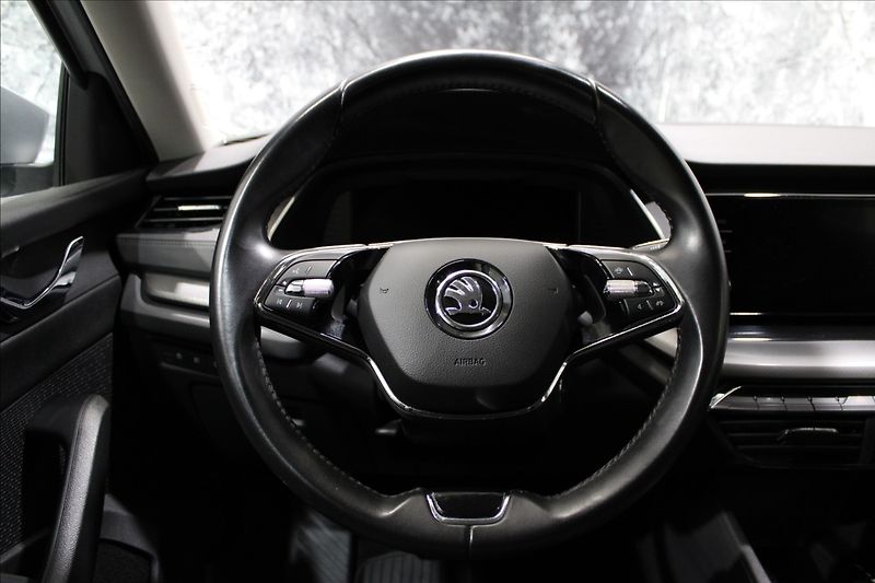 Škoda Octavia 2,0 TDI Ambition 1.majitel CZ - fotka 20 z 32