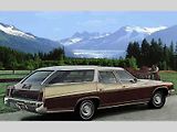 Nejopulentnějším automobilem GM všech dob by klidně mohl být Buick Estate Wagon, jehož objem zavazadelníku činí 3001 litrů! Unikátem bylo jeho víko, kdy prosklená část zajížděla prostřednictvím elektromotorků pod střechu a kovová za nárazník.