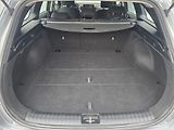 Kia Ceed (2023)  1.5T-GDi 118kW FRESH 1MAJITEL - náhled 18