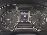 Škoda Octavia (2015) Elegance 2.0 TDI, Kůže, Navi - náhled 11