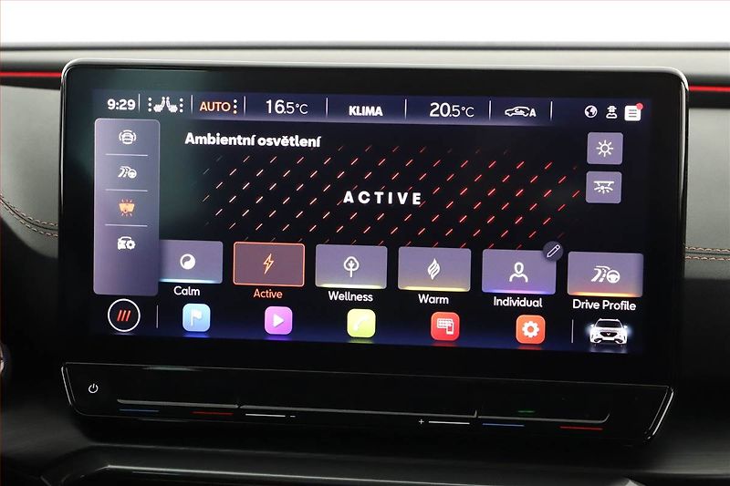 Cupra Formentor (2023) 2.0 TSI 4Drive - fotka 17 z 20