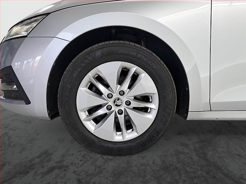 Škoda Octavia (2022) Ambition 2.0 TDI, ČR,1.maj - fotka 15 z 19