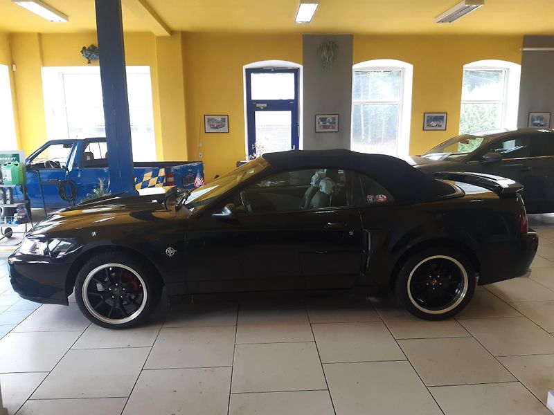 Ford Mustang 5.0 V6 CABRIO - fotka 4 z 19
