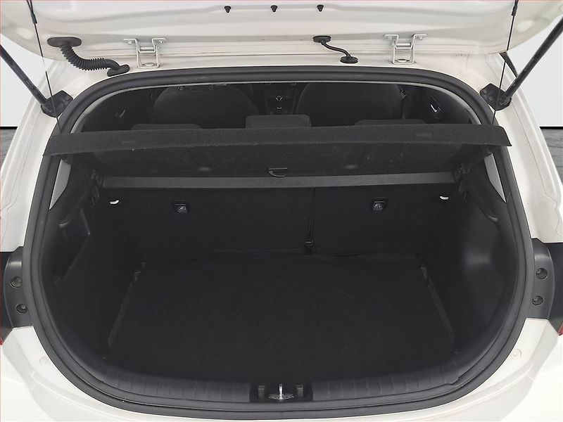 Kia Rio (2018) 1.25 CVVT, ČR,1.maj - fotka 13 z 15