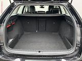 Škoda Octavia (2022) 2.0 TDi, Style, DSG, LED, TZ - náhled 7