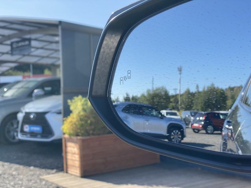 Toyota RAV4 2.5HSD, ČR-2m, Executive, 4x4 - fotka 18 z 19