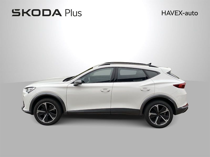 Cupra Formentor (2024) 2.0 TSI DSG 4Drive - fotka 45 z 46