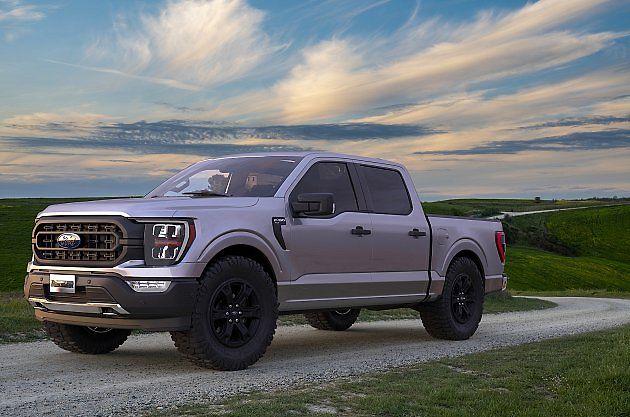 Ford F - Series je ve Spojených státech amerických jasnou jedničkou., zdroj: Shutterstock