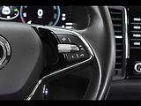 Škoda Kodiaq 2.0 TDI DSG*TAŽNÉ**DPH*ČR 1.M* - náhled 19