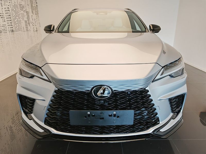 Lexus RX 500h 500h F Sport Special Edition - fotka 2 z 43