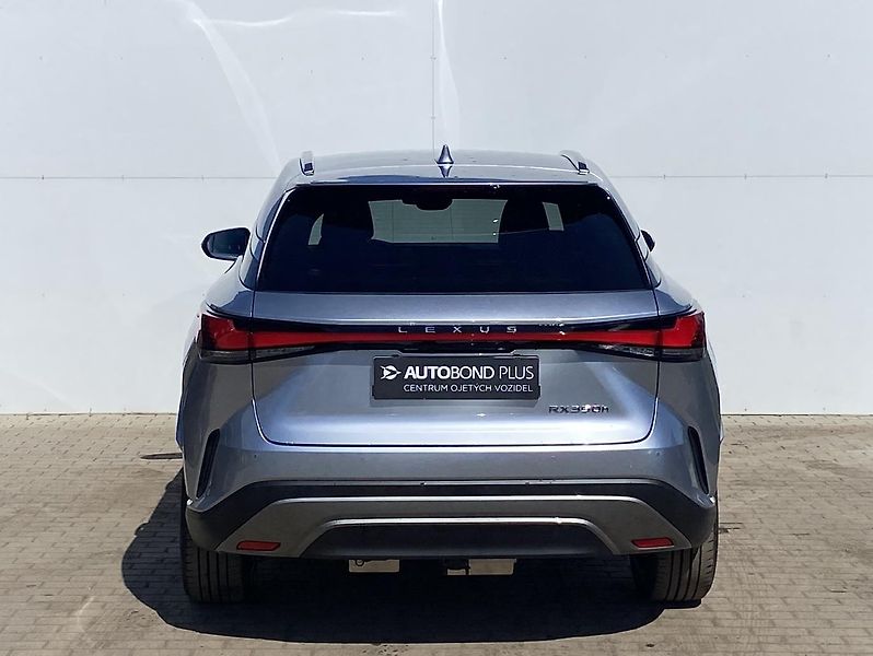 Lexus RX 350h 2.5 HSD e-CVT AWD Luxury - fotka 9 z 23