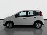 Fiat Panda (2023) 1.0 FireFly, ČR,1.maj - náhled 2