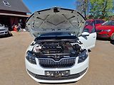 Škoda Octavia 1,6TDI 81KW JOY NAVI - náhled 19