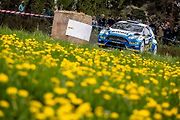 Oficiální fotogalerie z Rally Šumava a HVR 2019